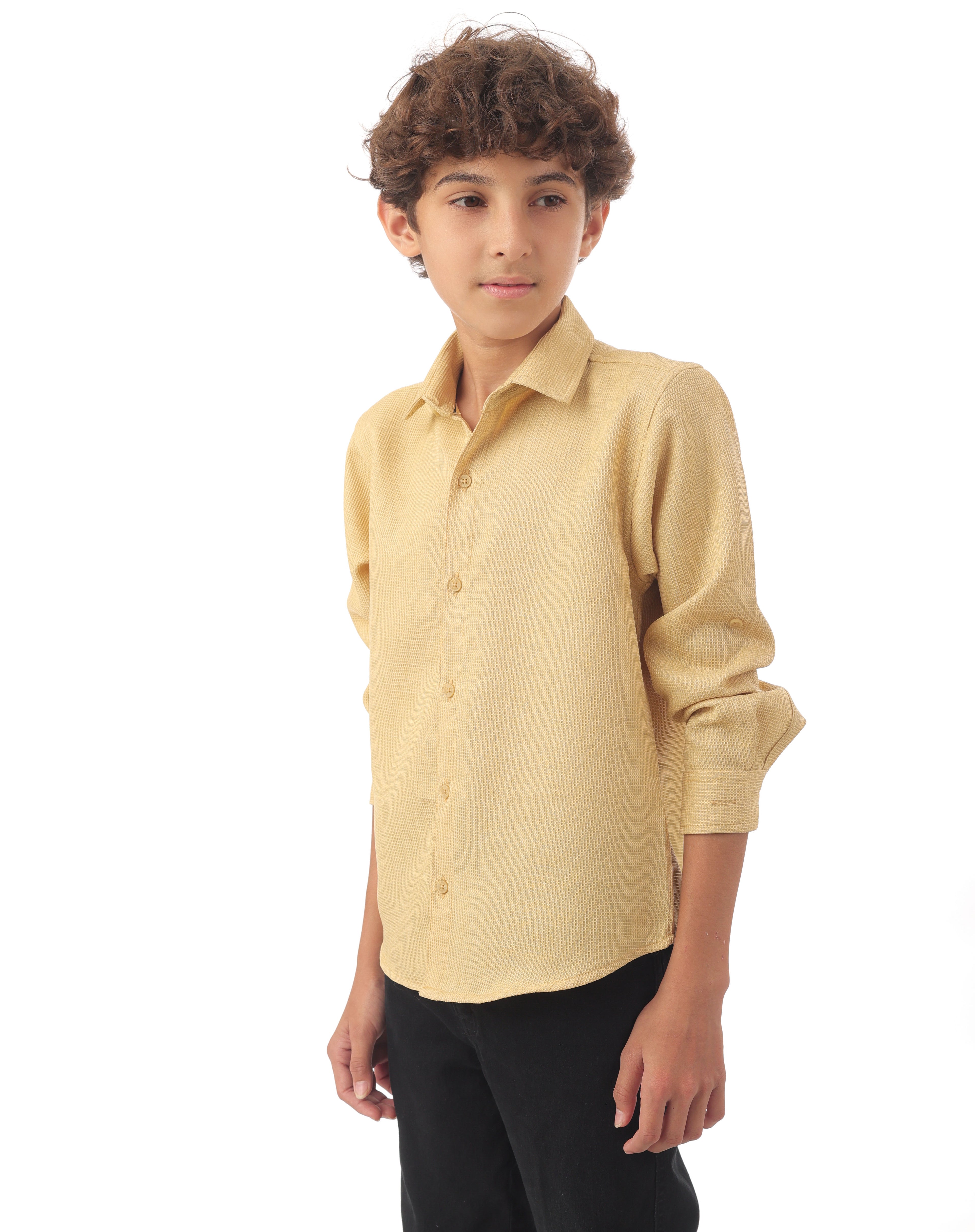 Long sleeve button-down semi-formal shirt