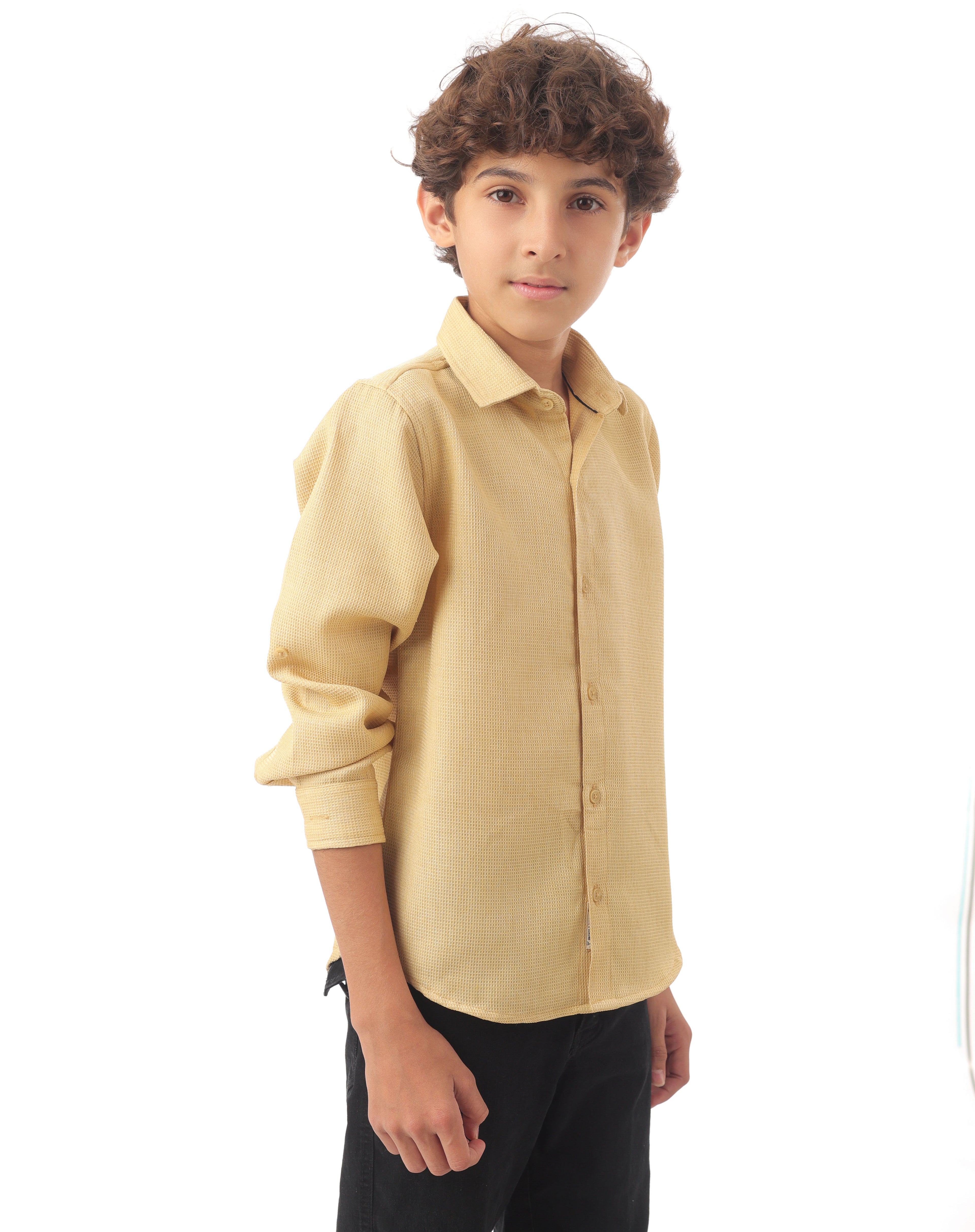 Long sleeve button-down semi-formal shirt