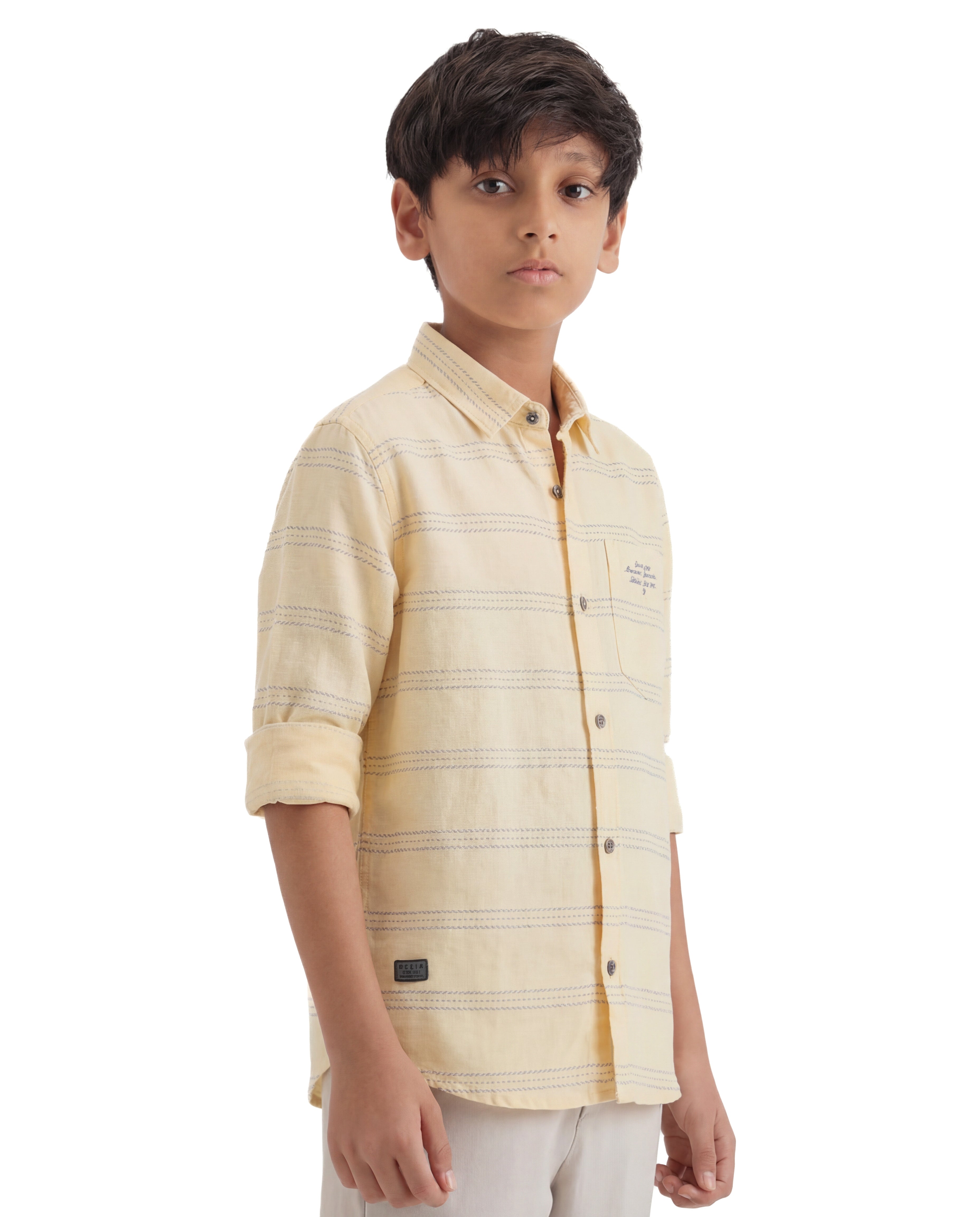 Textured Stripe Casual Shirt